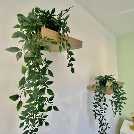 Le Primevere * Rouen