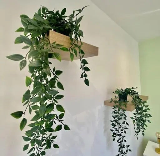 Le Primevere * Rouen